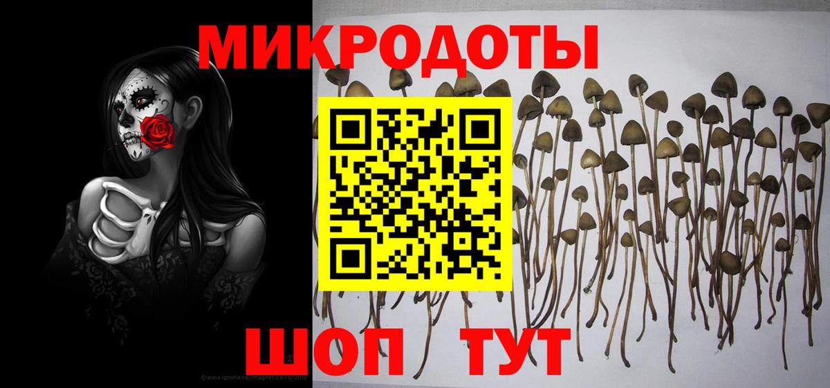 Псилоцибиновые грибы прущие грибы  Вход с VPN  Дербент  Галлюциногенные грибы ЛСД 